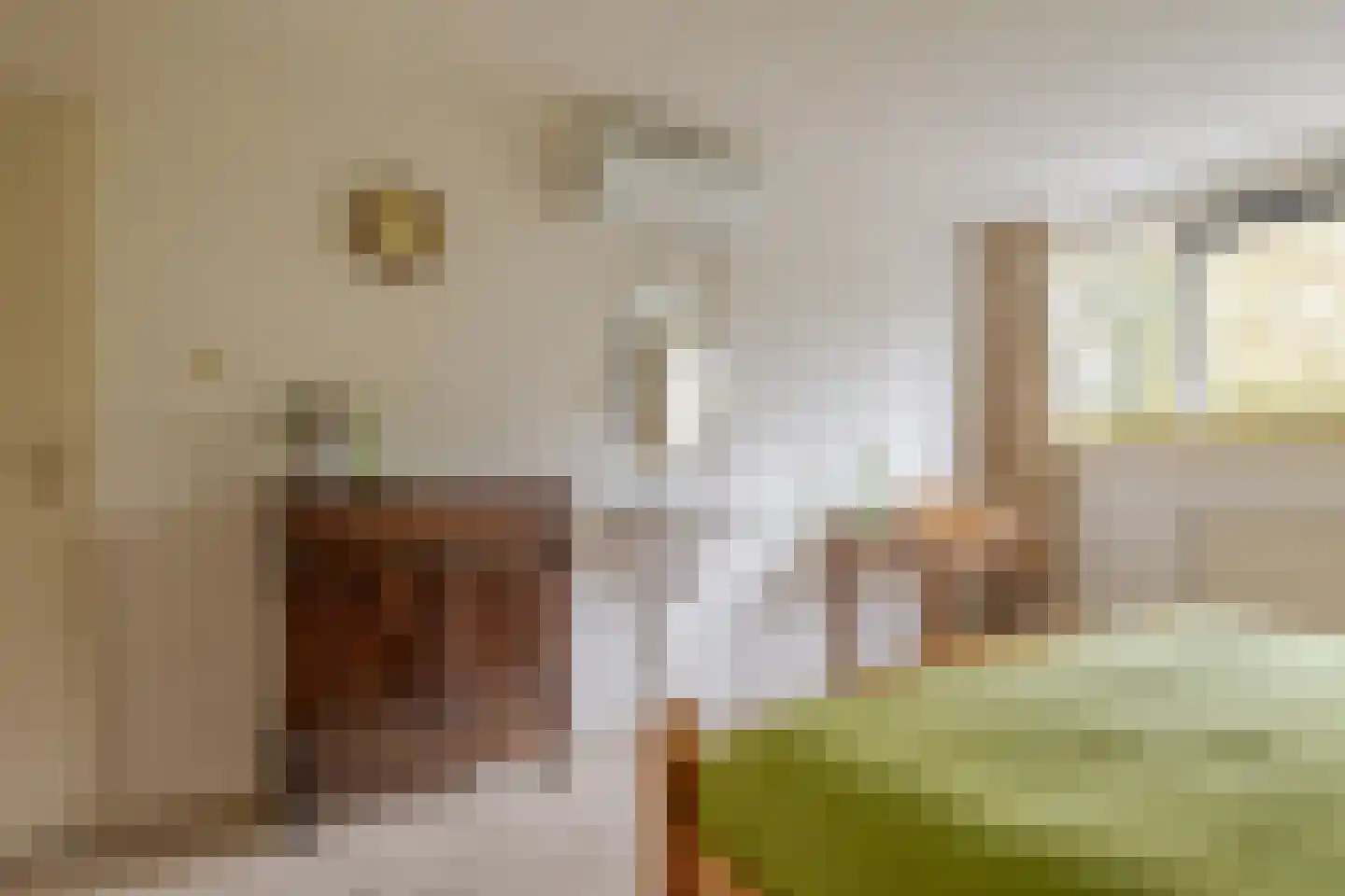 Dorpsstraat 70 a Koekange thumbnail 51