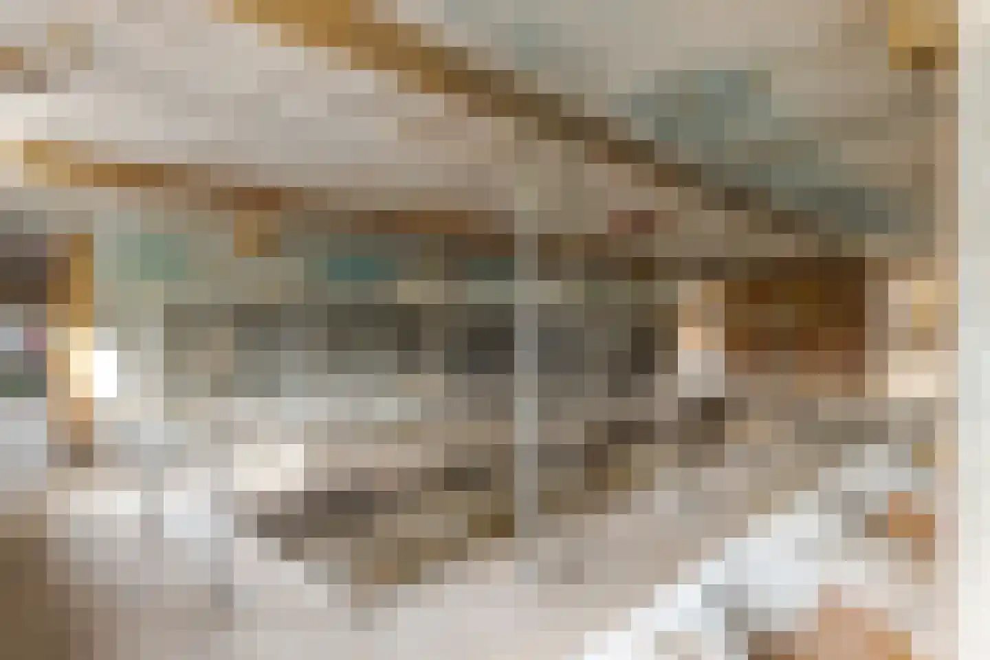 Dorpsstraat 70 a Koekange thumbnail 59