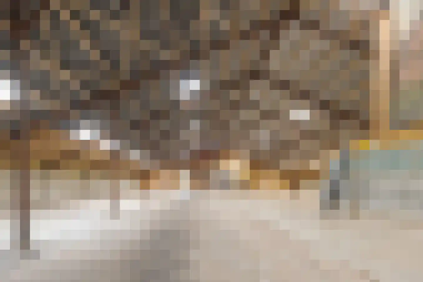 Dorpsstraat 70 a Koekange thumbnail 61