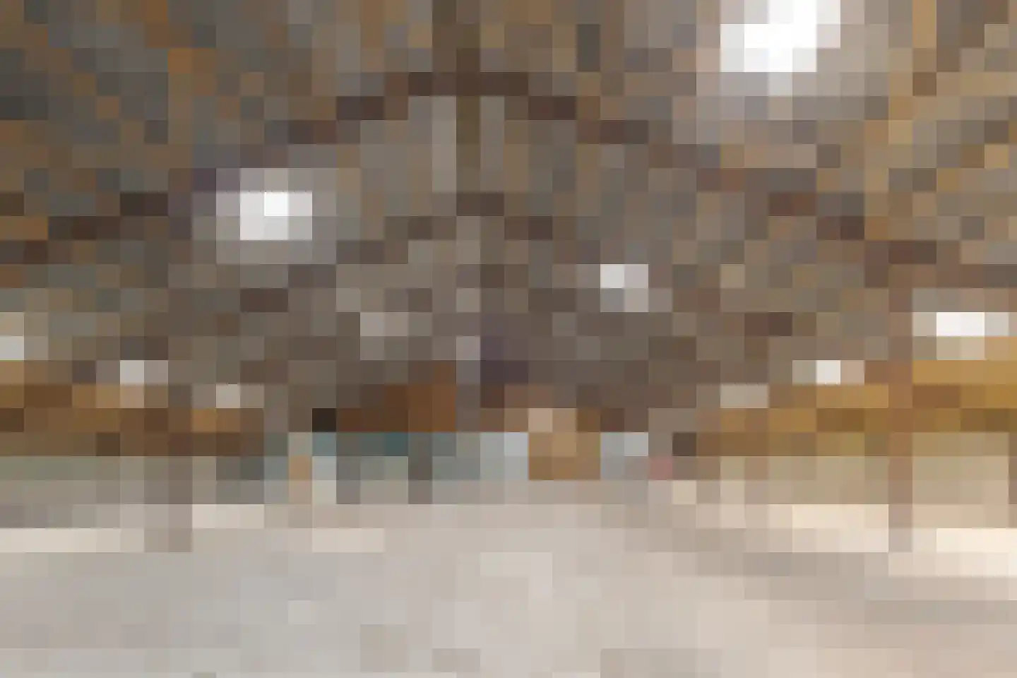 Dorpsstraat 70 a Koekange thumbnail 62