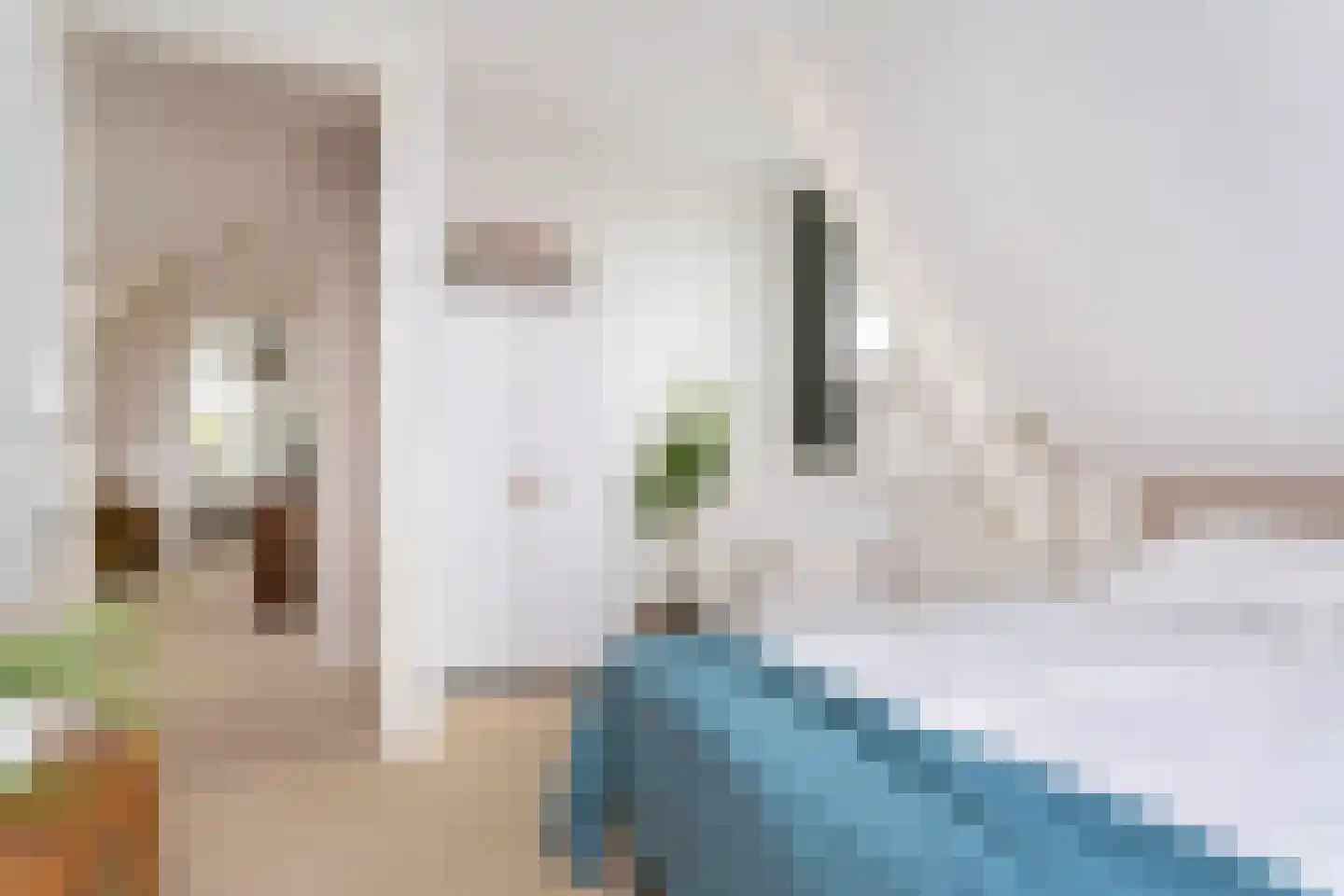 Dorpsstraat 70 Heeten thumbnail 29