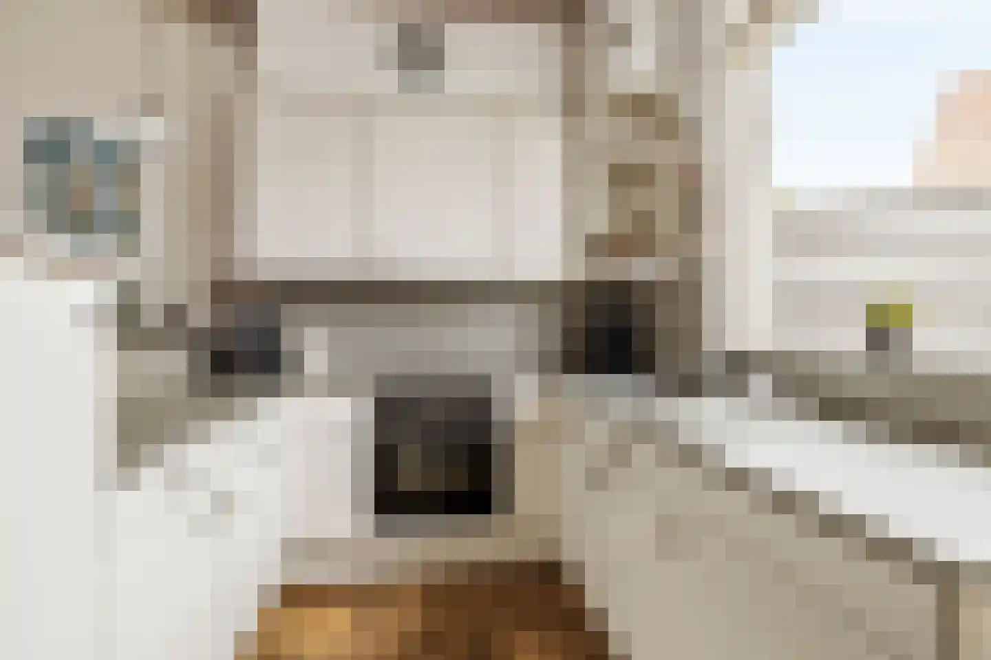 Dorpsstraat 70 Nigtevecht thumbnail 13
