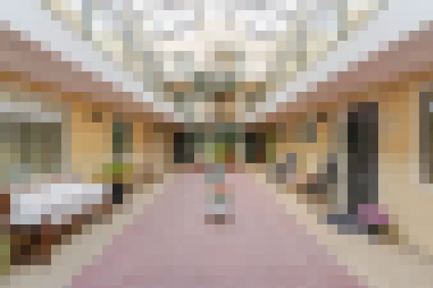 Dorpsstraat 71 A Hazerswoude-Dorp thumbnail 5
