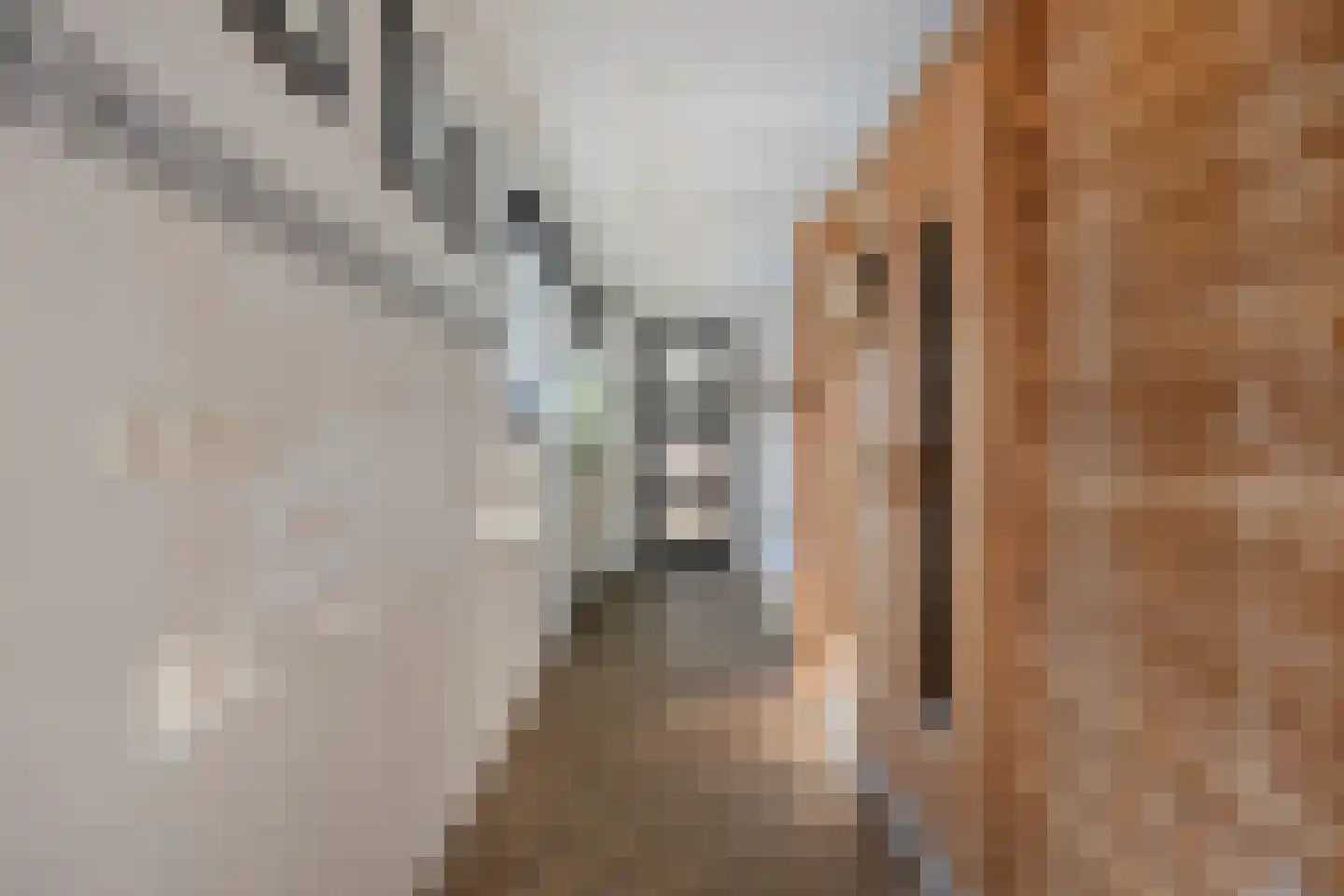 Dorpsstraat 71 b Ulicoten thumbnail 10
