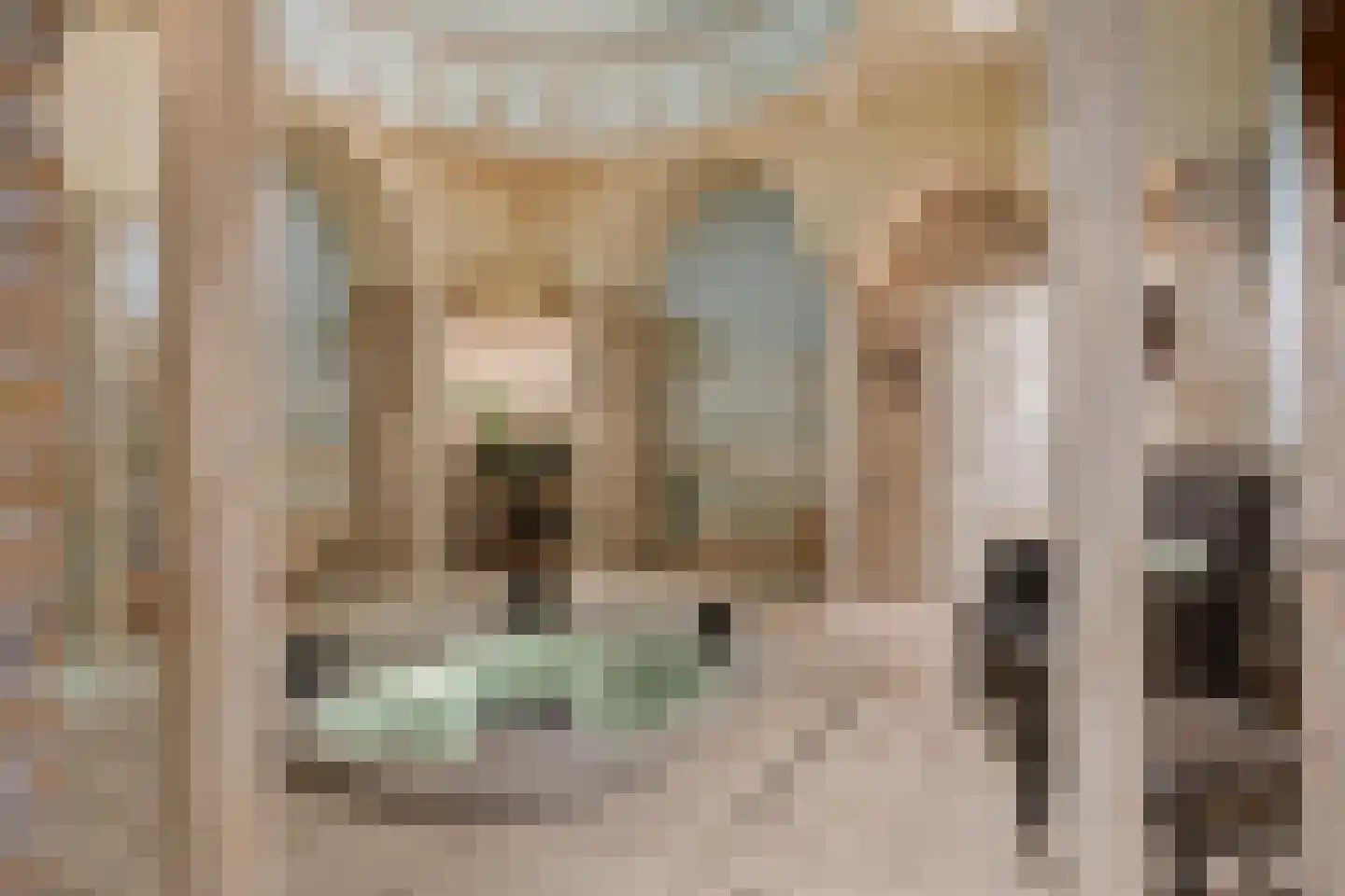 Dorpsstraat 71 b Ulicoten thumbnail 13