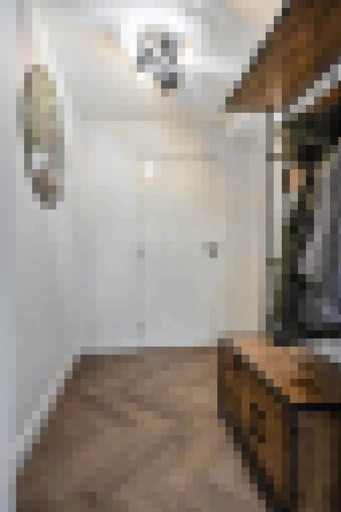Dorpsstraat 71 b Ulicoten thumbnail 18