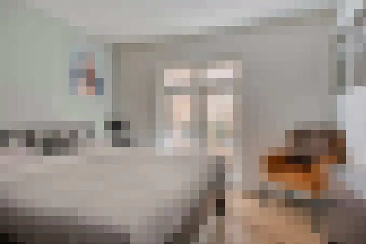 Dorpsstraat 71 b Ulicoten thumbnail 38