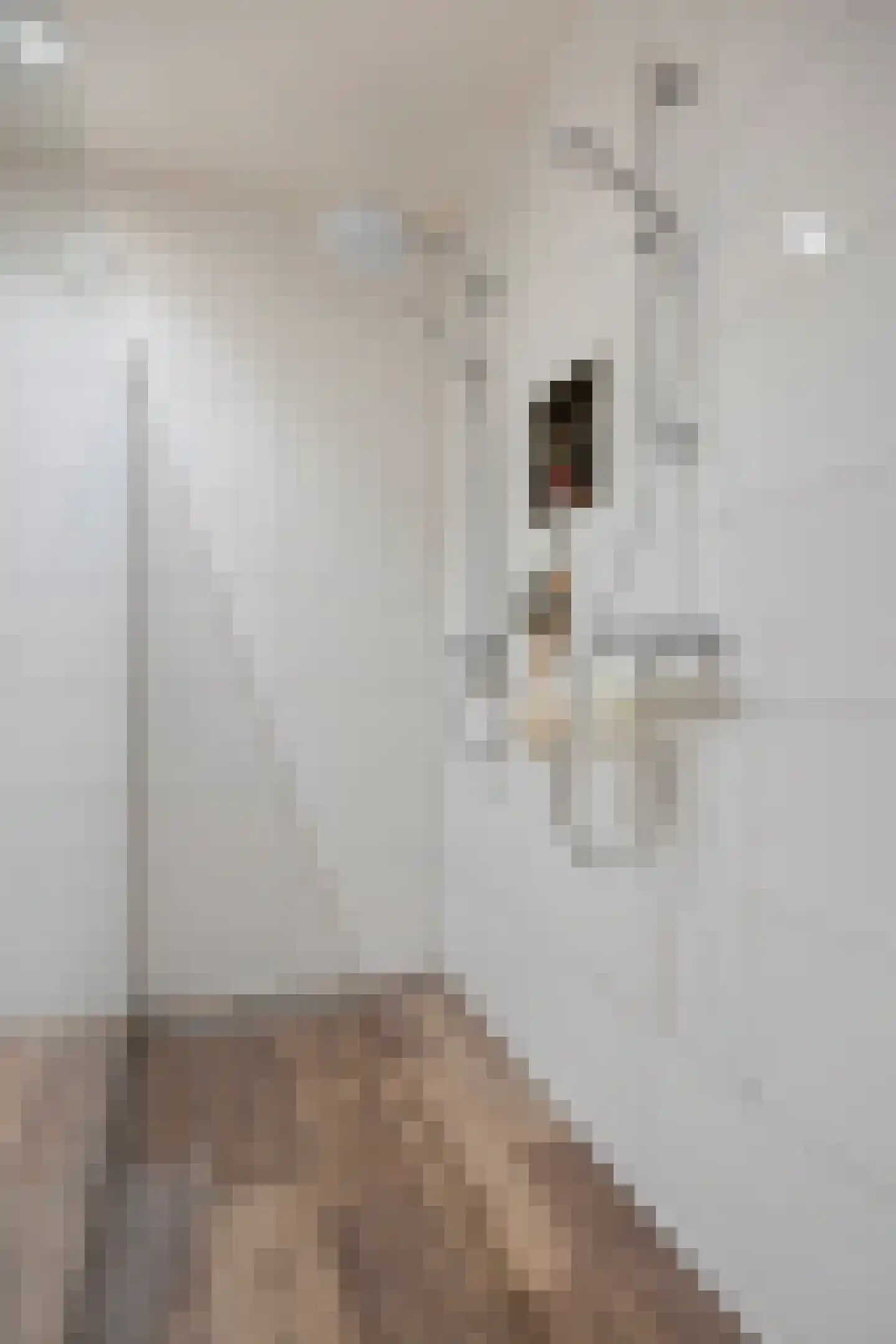 Dorpsstraat 71 b Ulicoten thumbnail 46