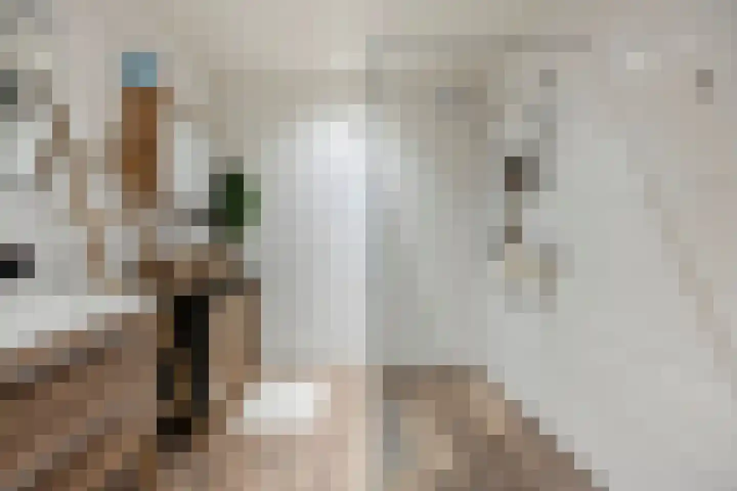Dorpsstraat 71 b Ulicoten thumbnail 9