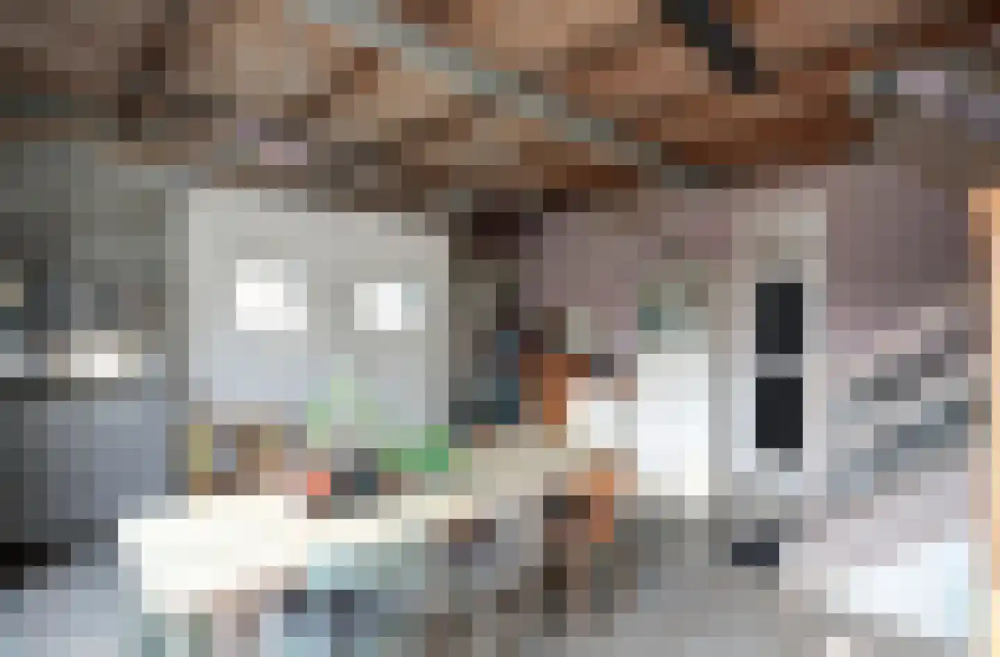 Dorpsstraat 71 Bemmel thumbnail 19