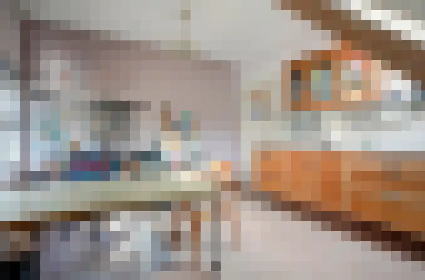Dorpsstraat 71 Bemmel thumbnail 32