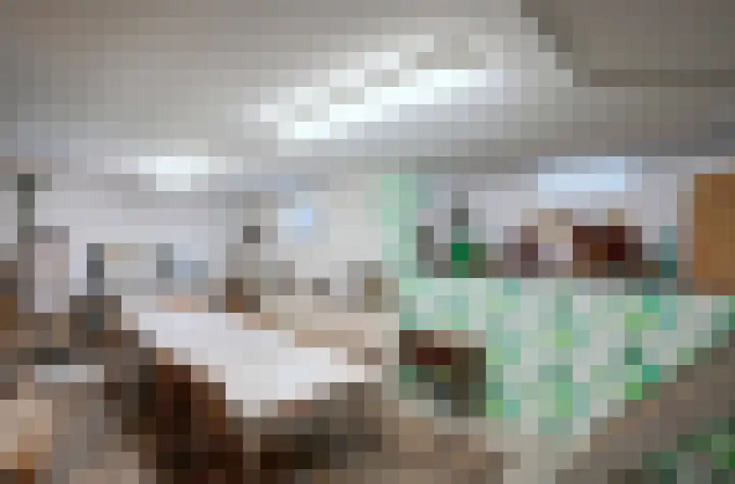 Dorpsstraat 71 Bemmel thumbnail 37