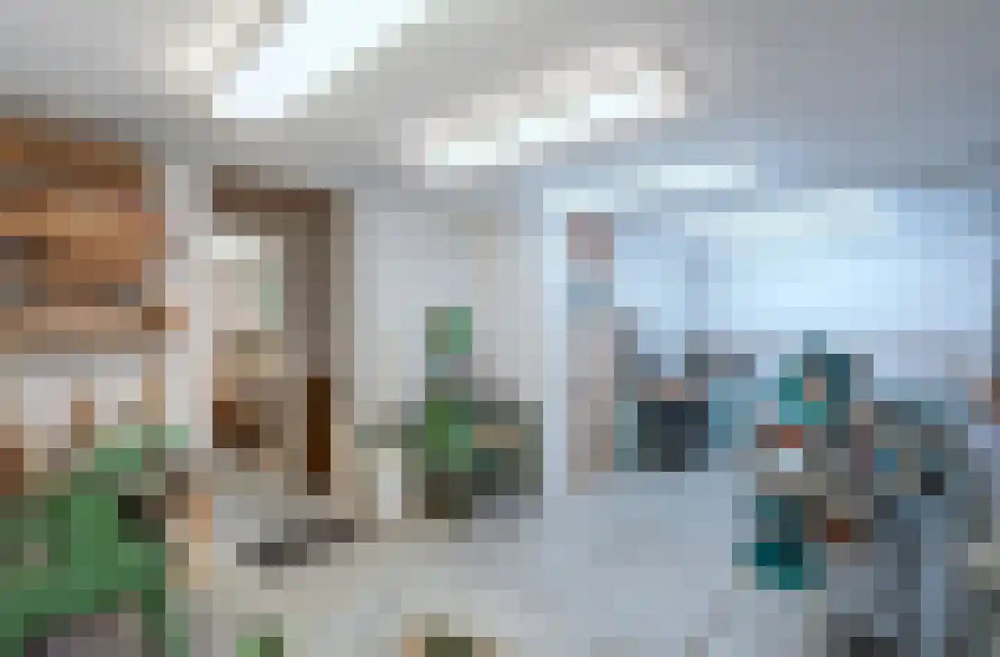 Dorpsstraat 71 Bemmel thumbnail 38