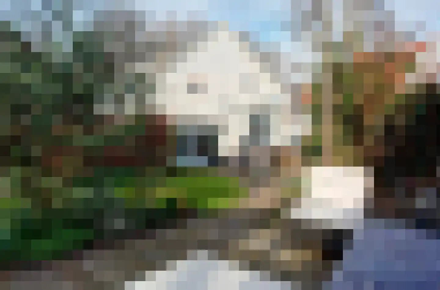 Dorpsstraat 71 Bemmel thumbnail 46