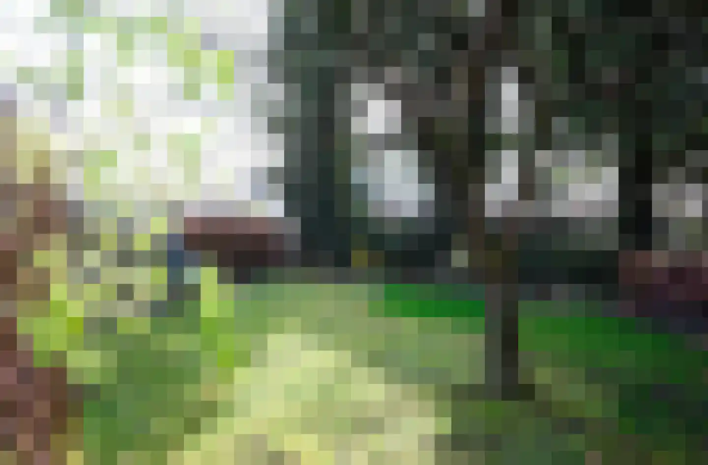 Dorpsstraat 71 Bemmel thumbnail 48