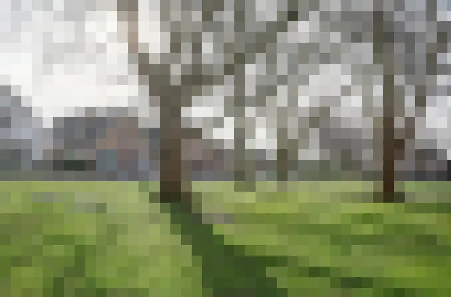 Dorpsstraat 71 Bemmel thumbnail 52