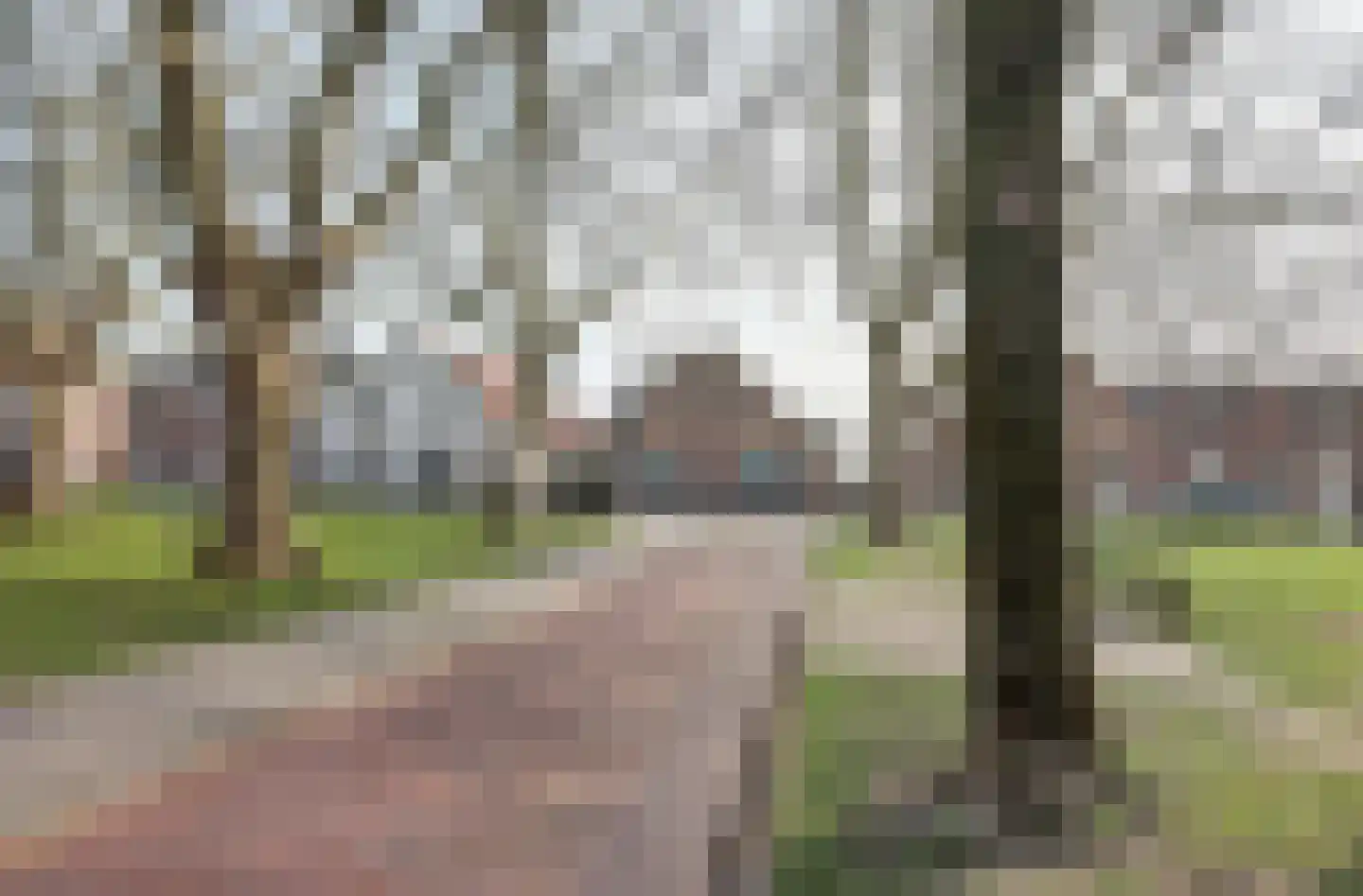 Dorpsstraat 71 Bemmel thumbnail 53