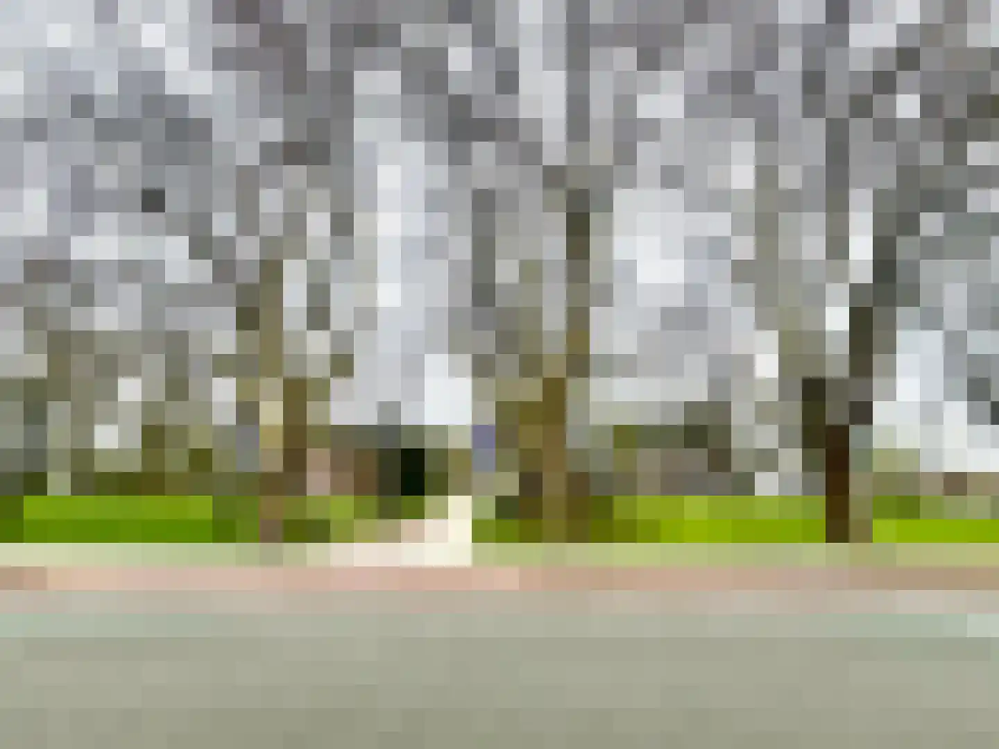 Dorpsstraat 71 Bemmel thumbnail 54