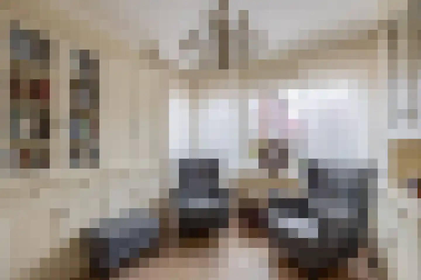 Dorpsstraat 71 Benthuizen thumbnail 12