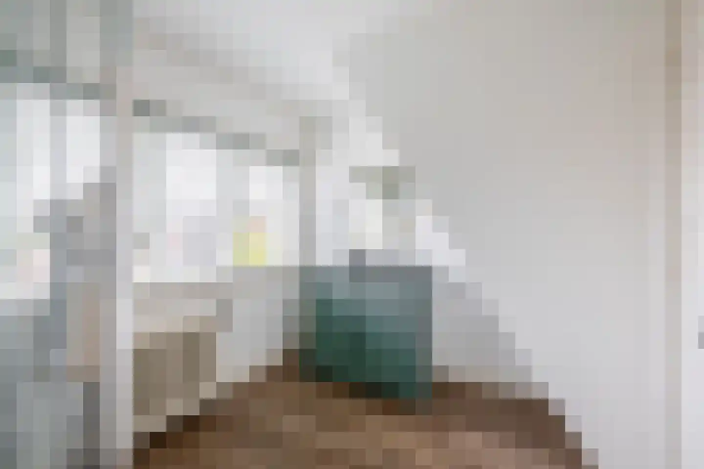 Dorpsstraat 71 Benthuizen thumbnail 17
