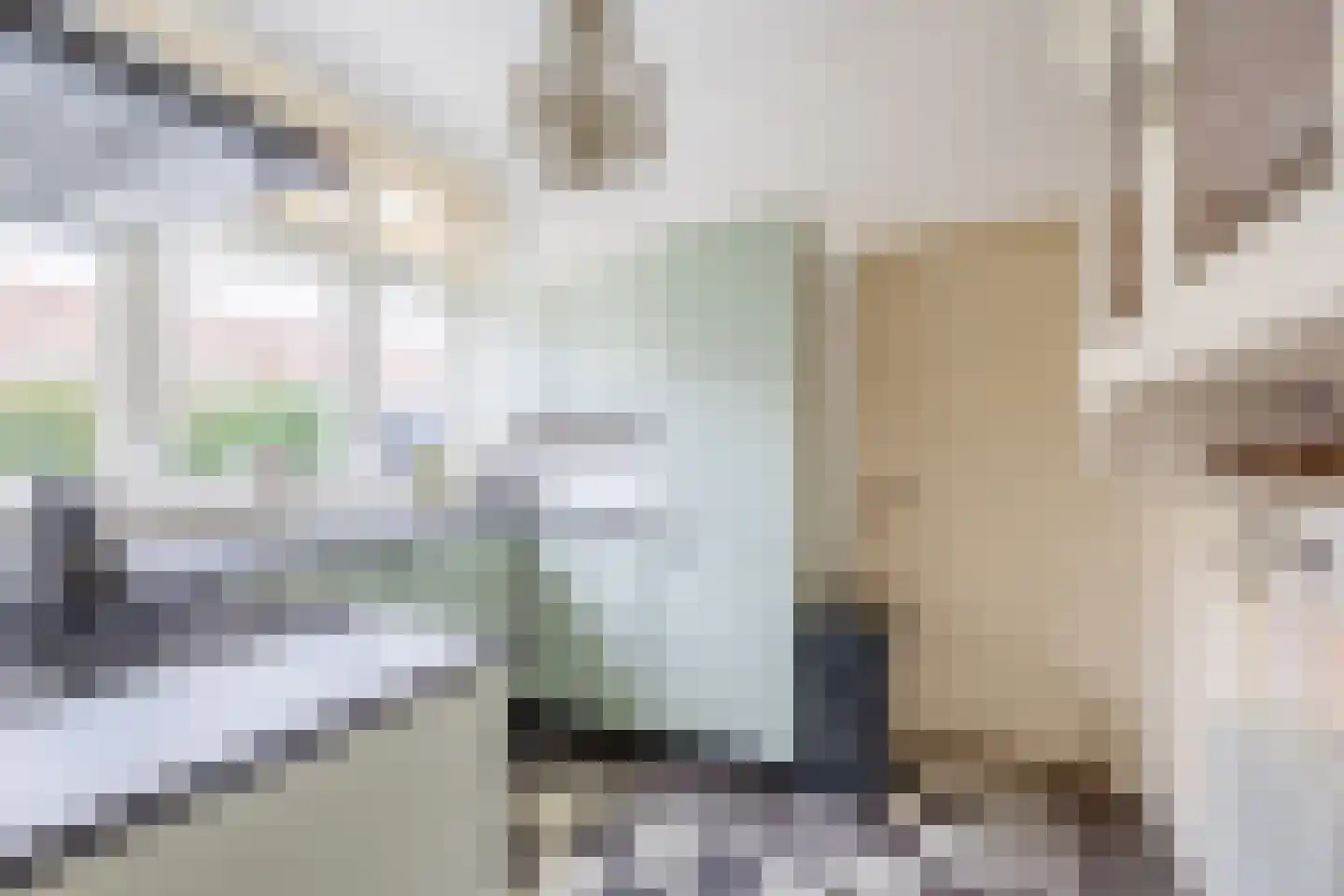 Dorpsstraat 71 Benthuizen thumbnail 9