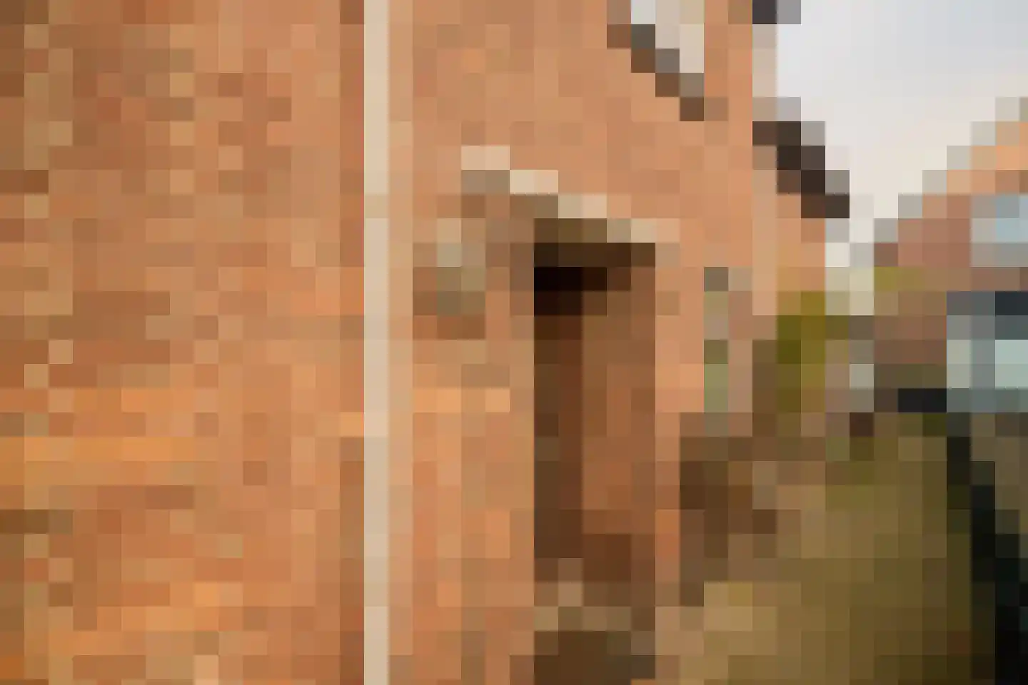 Dorpsstraat 71 Bunschoten-Spakenburg thumbnail 13