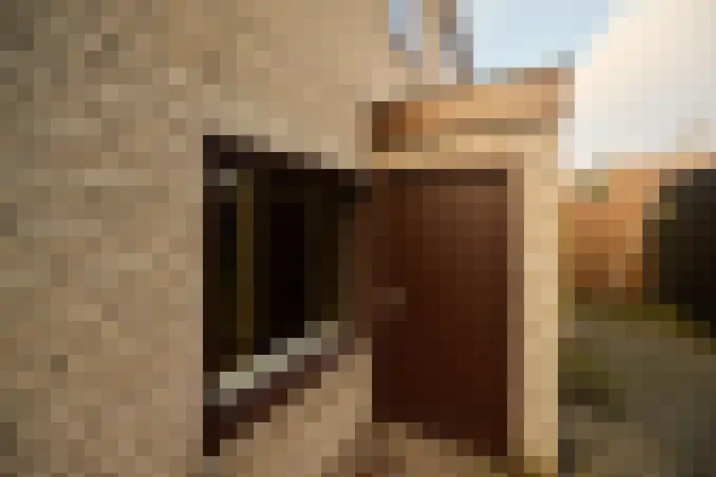 Dorpsstraat 71 Bunschoten-Spakenburg thumbnail 36