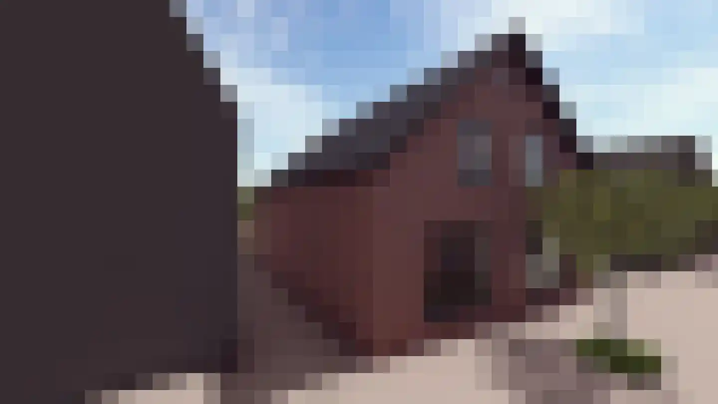 Dorpsstraat 71 Bunschoten-Spakenburg thumbnail 6