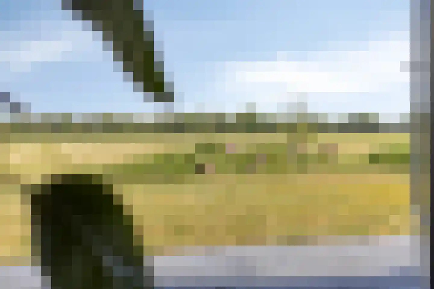 Dorpsstraat 72 Haule thumbnail 11