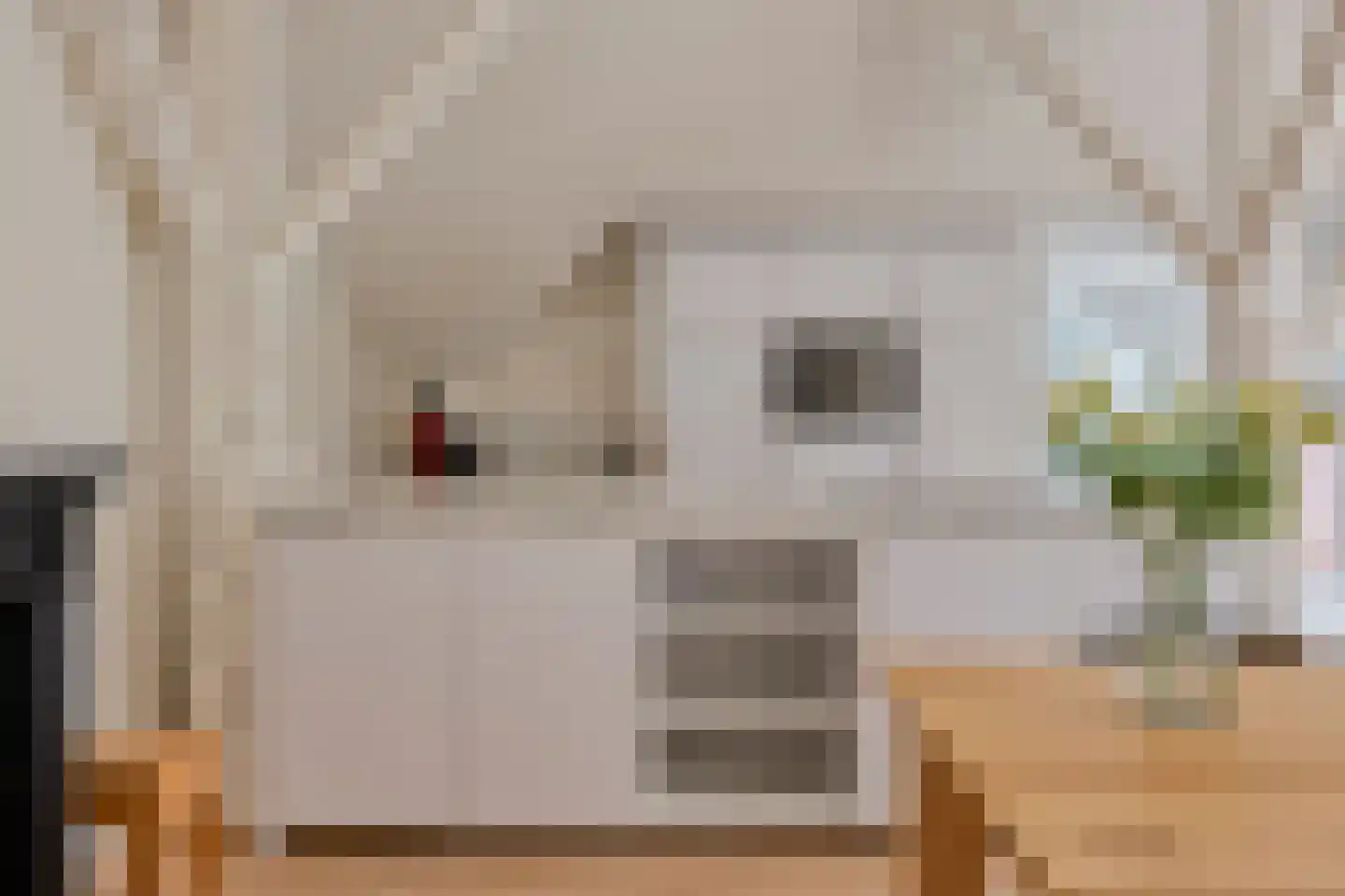 Dorpsstraat 72 Haule thumbnail 18