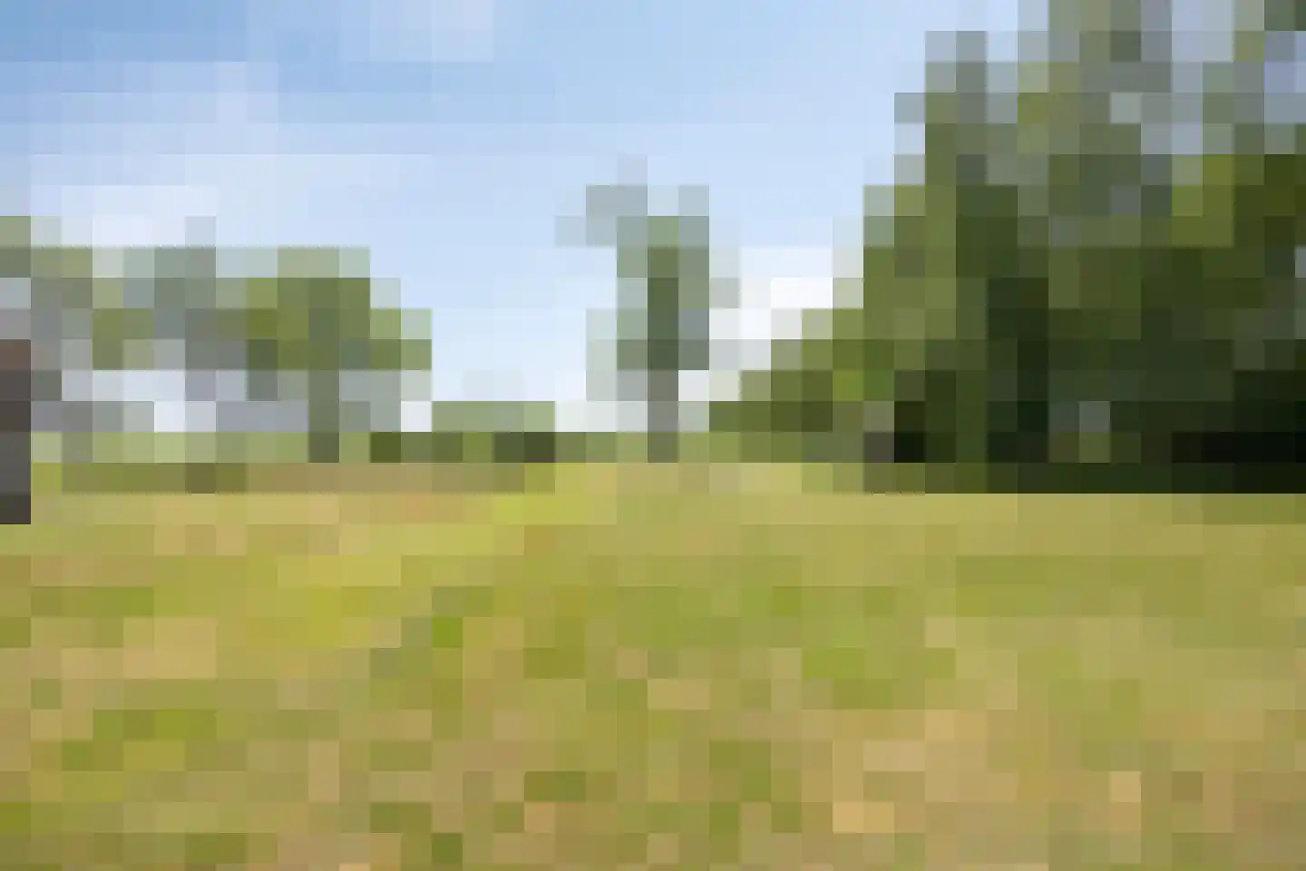 Dorpsstraat 72 Haule thumbnail 64