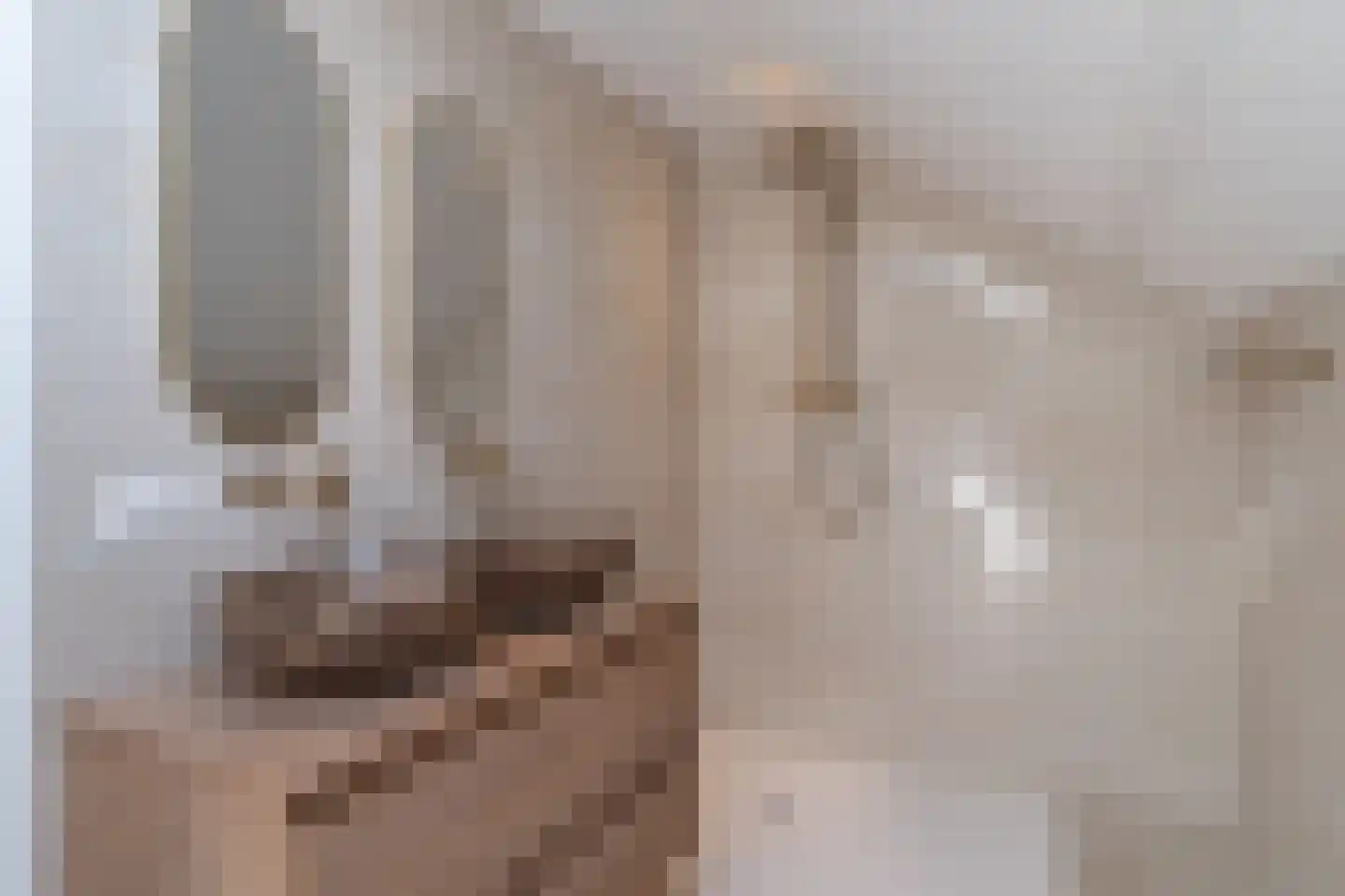 Dorpsstraat 72 Krabbendijke thumbnail 27
