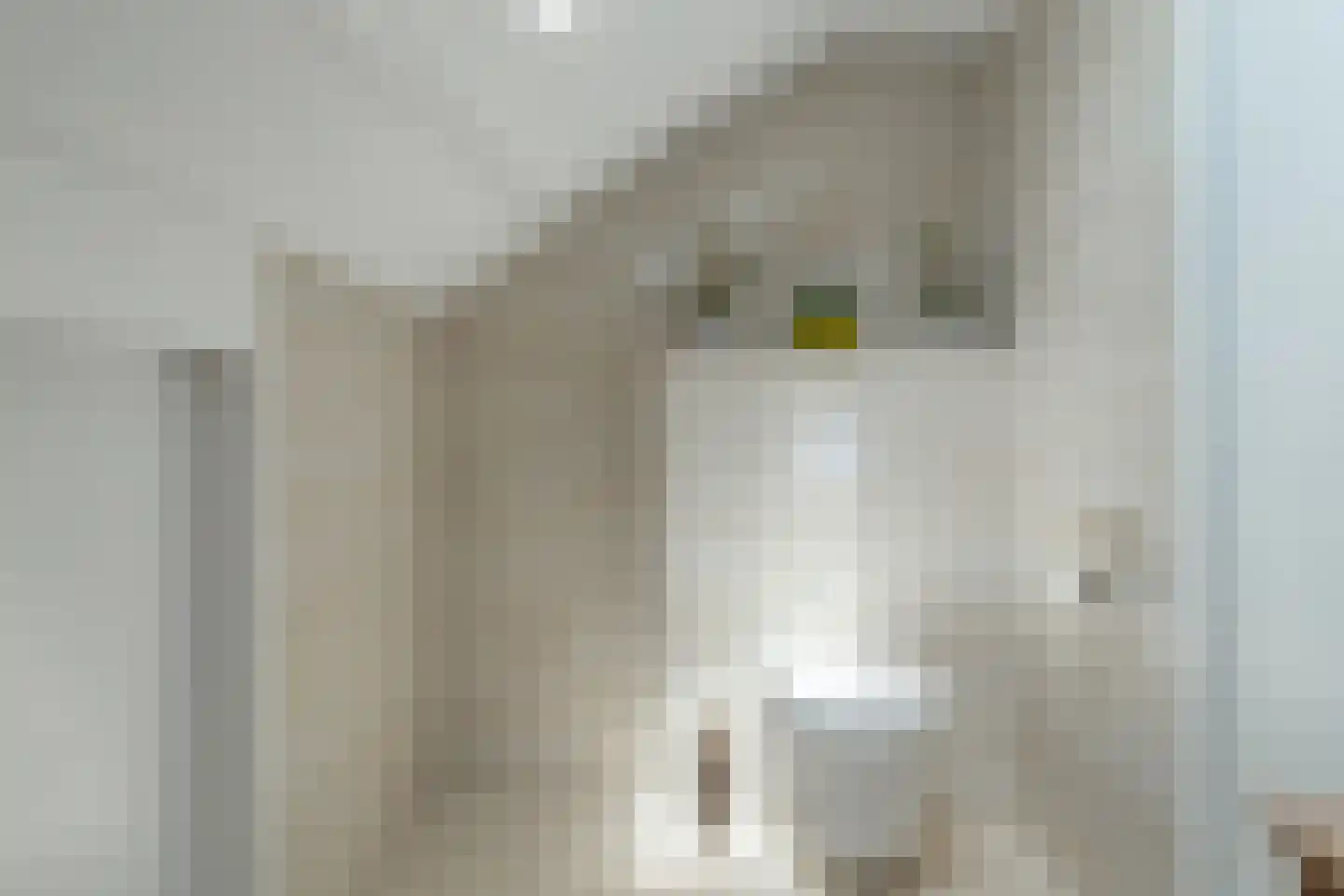 Dorpsstraat 72 Krabbendijke thumbnail 28