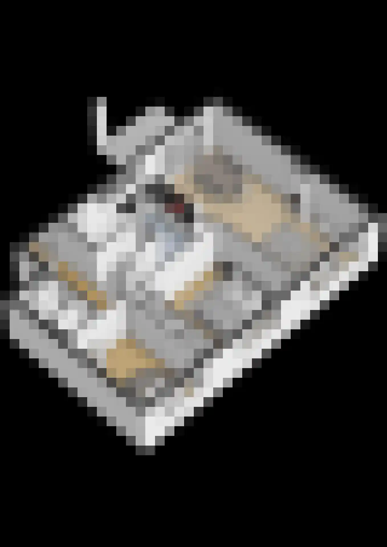 Dorpsstraat 72 Krabbendijke thumbnail 42