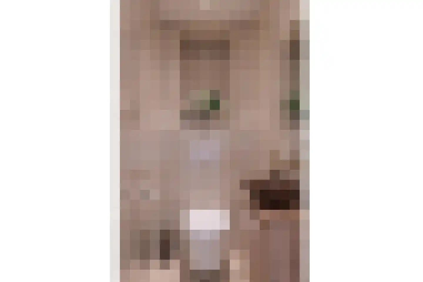 Dorpsstraat 72 Krabbendijke thumbnail 7