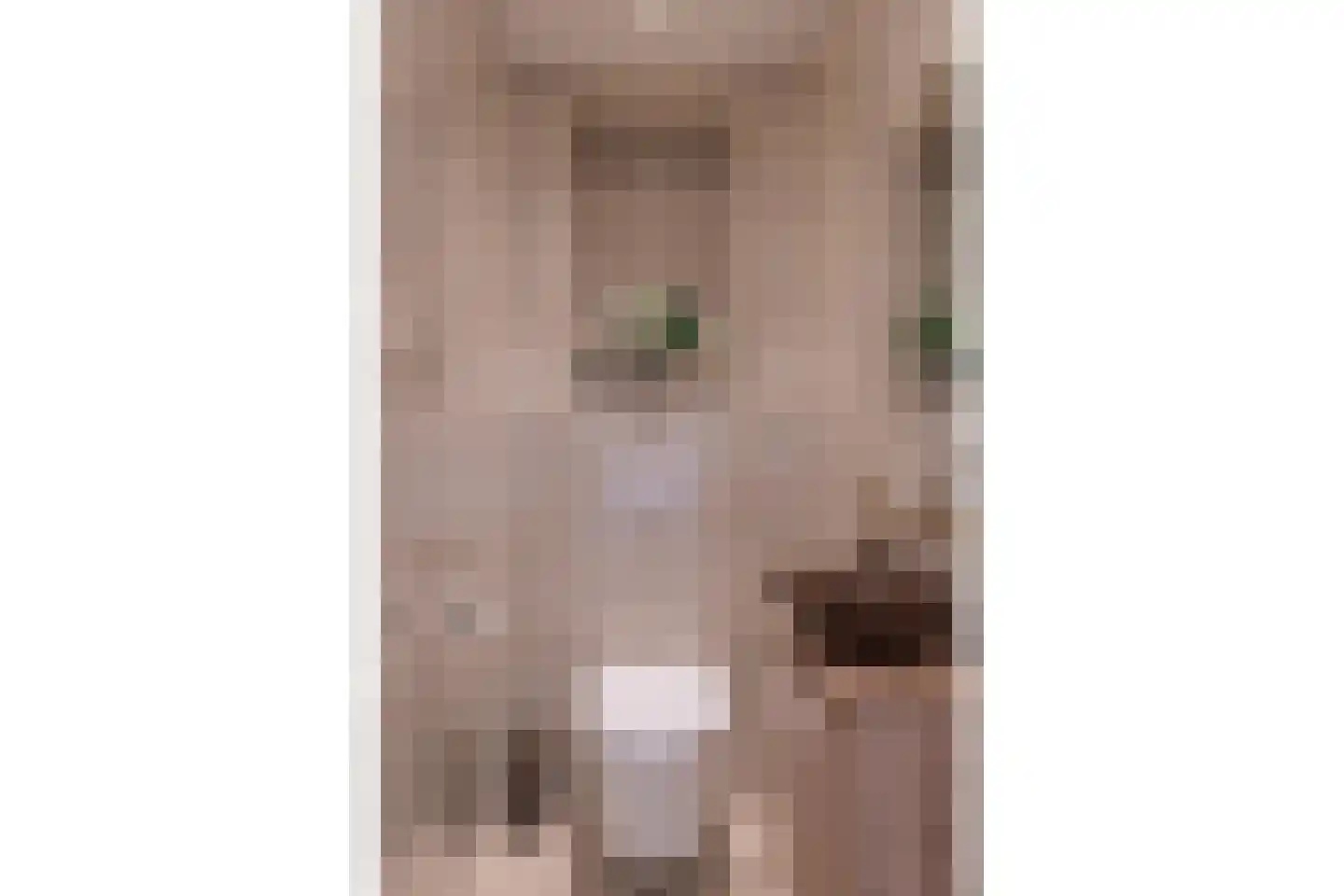 Dorpsstraat 72 Krabbendijke thumbnail 8
