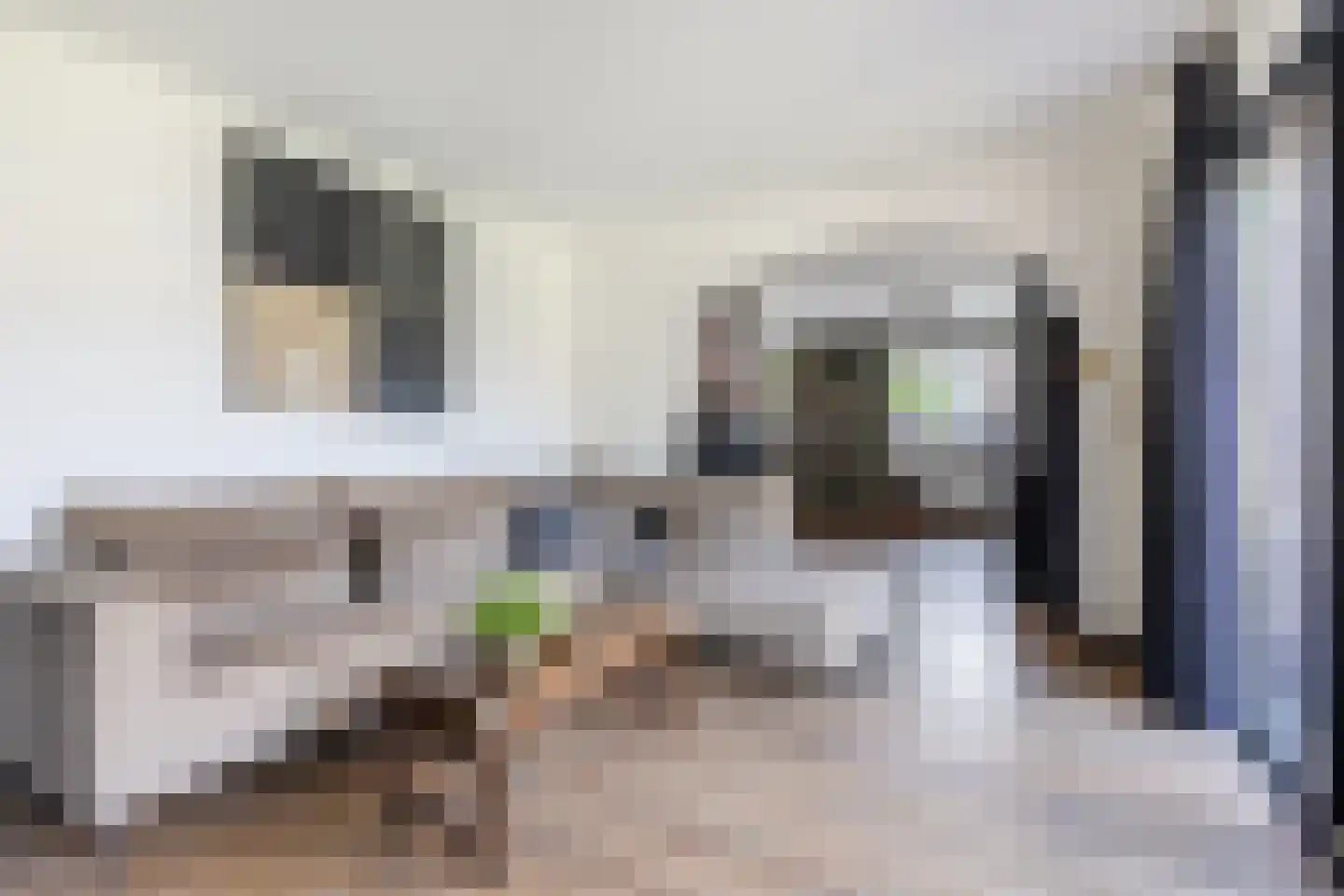 Dorpsstraat 727 A Oudkarspel thumbnail 31