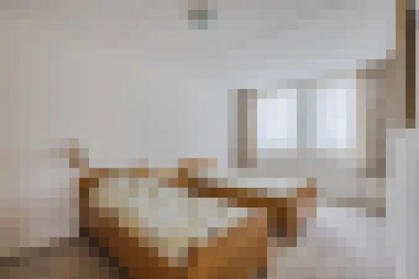 Dorpsstraat 73 a de Wijk thumbnail 15