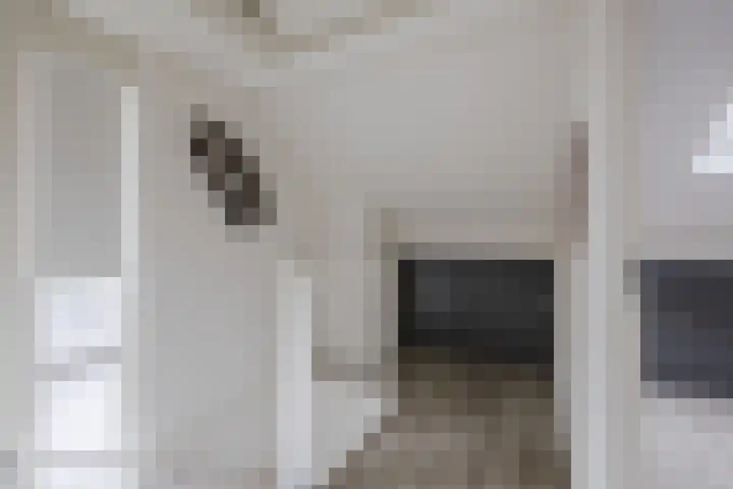 Dorpsstraat 73 a de Wijk thumbnail 33