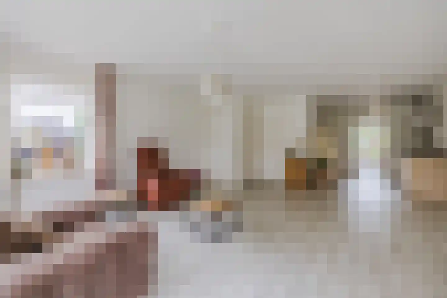 Dorpsstraat 73 a de Wijk thumbnail 7