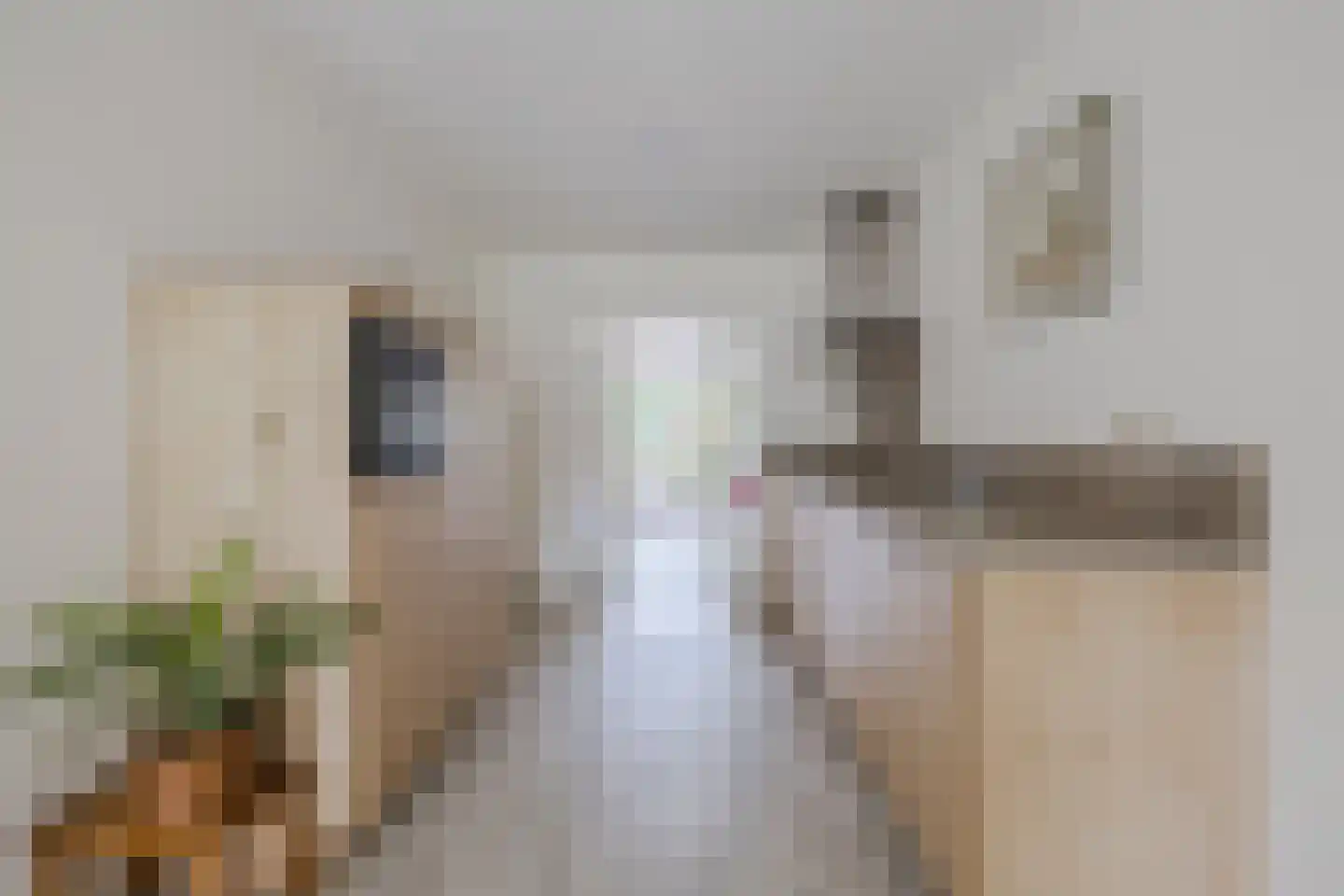 Dorpsstraat 73 a de Wijk thumbnail 8