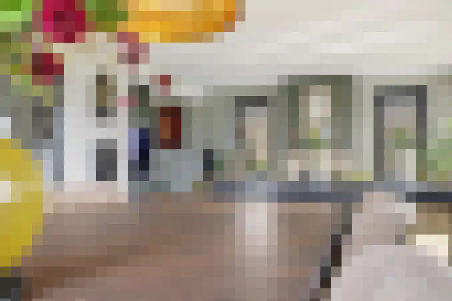 Dorpsstraat 73 Assendelft thumbnail 11