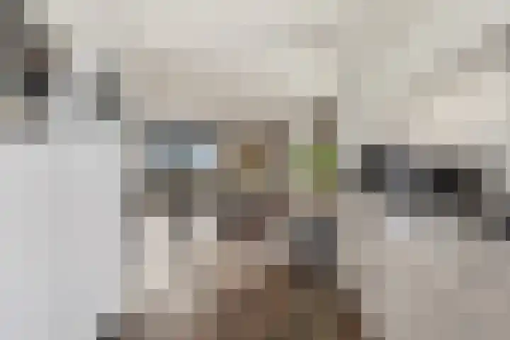 Dorpsstraat 73 Assendelft thumbnail 12