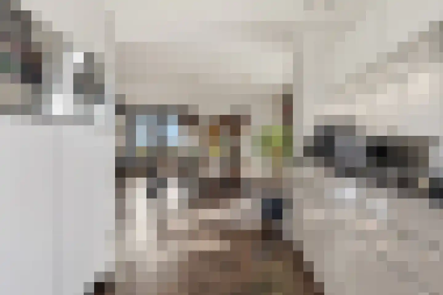 Dorpsstraat 73 Assendelft thumbnail 12
