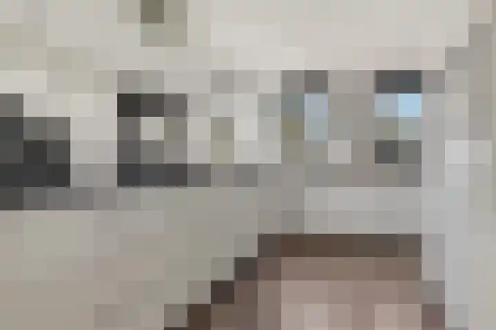 Dorpsstraat 73 Assendelft thumbnail 13
