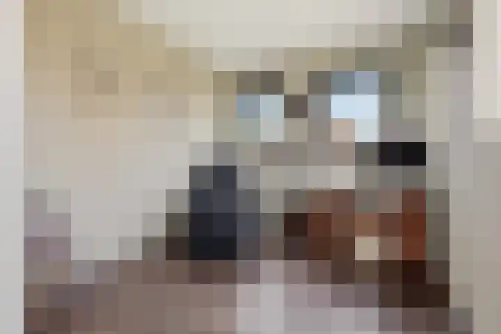 Dorpsstraat 73 Assendelft thumbnail 14