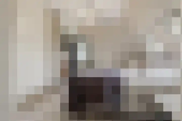 Dorpsstraat 73 Assendelft thumbnail 19