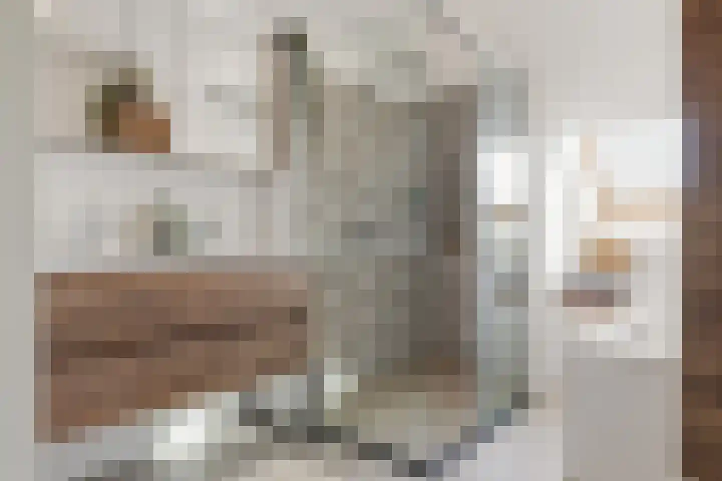 Dorpsstraat 73 Assendelft thumbnail 21