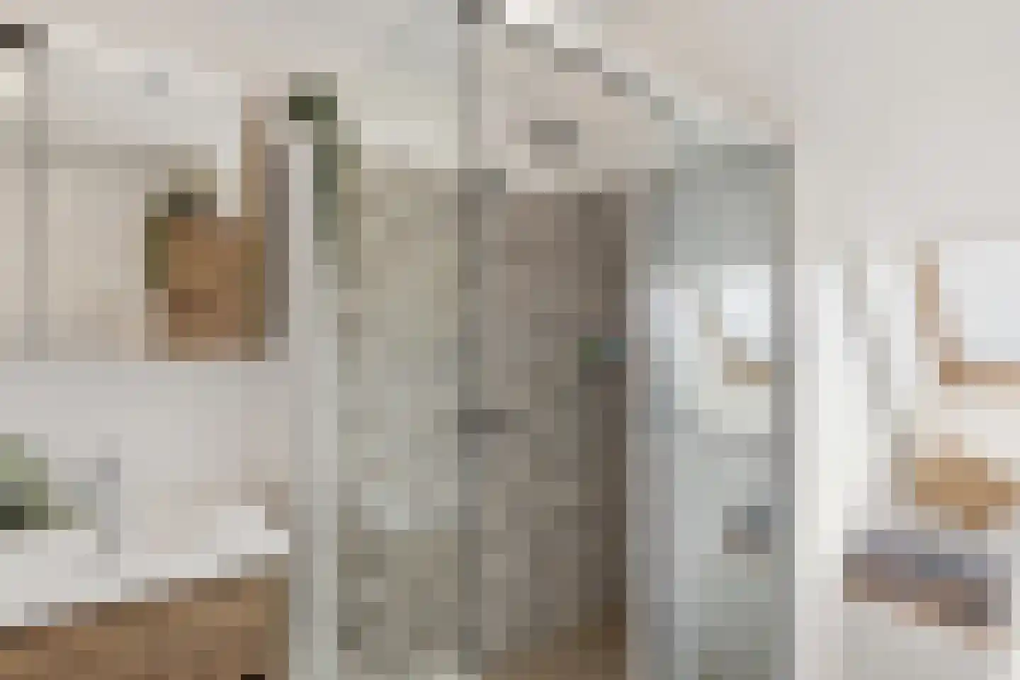 Dorpsstraat 73 Assendelft thumbnail 24