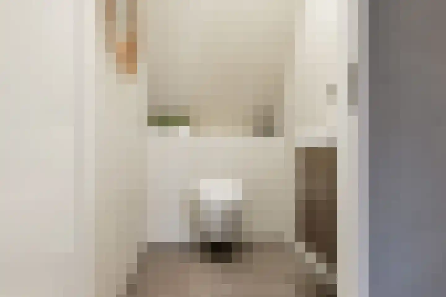 Dorpsstraat 73 Assendelft thumbnail 25